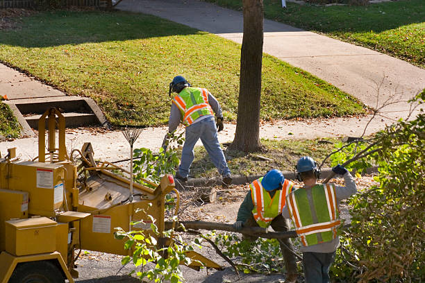 Lawn Pest Prevention in Lake Crystal, MN